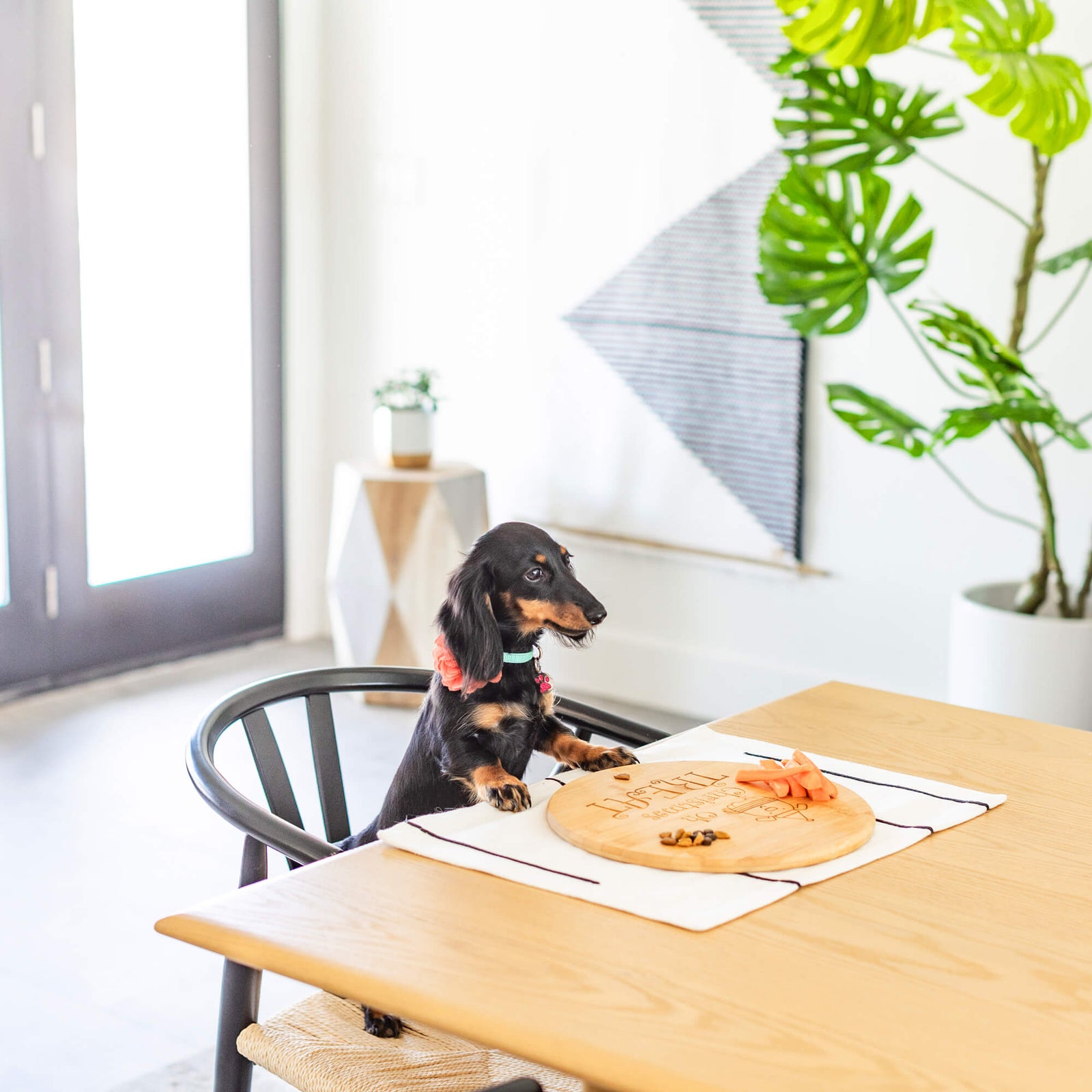 Pet's Barkuterie Board - Bamboo