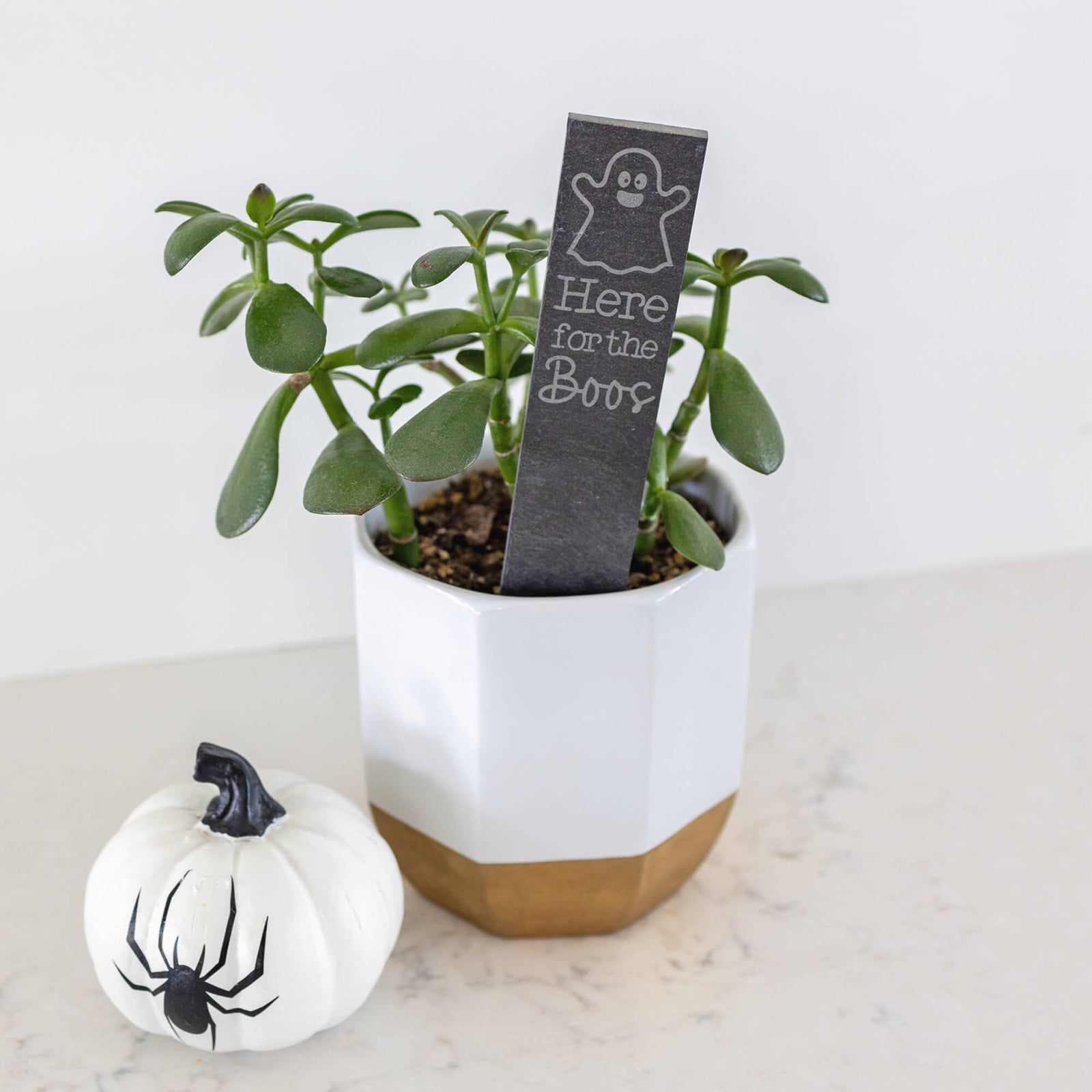 Halloween Slate Garden Markers - Set of 3