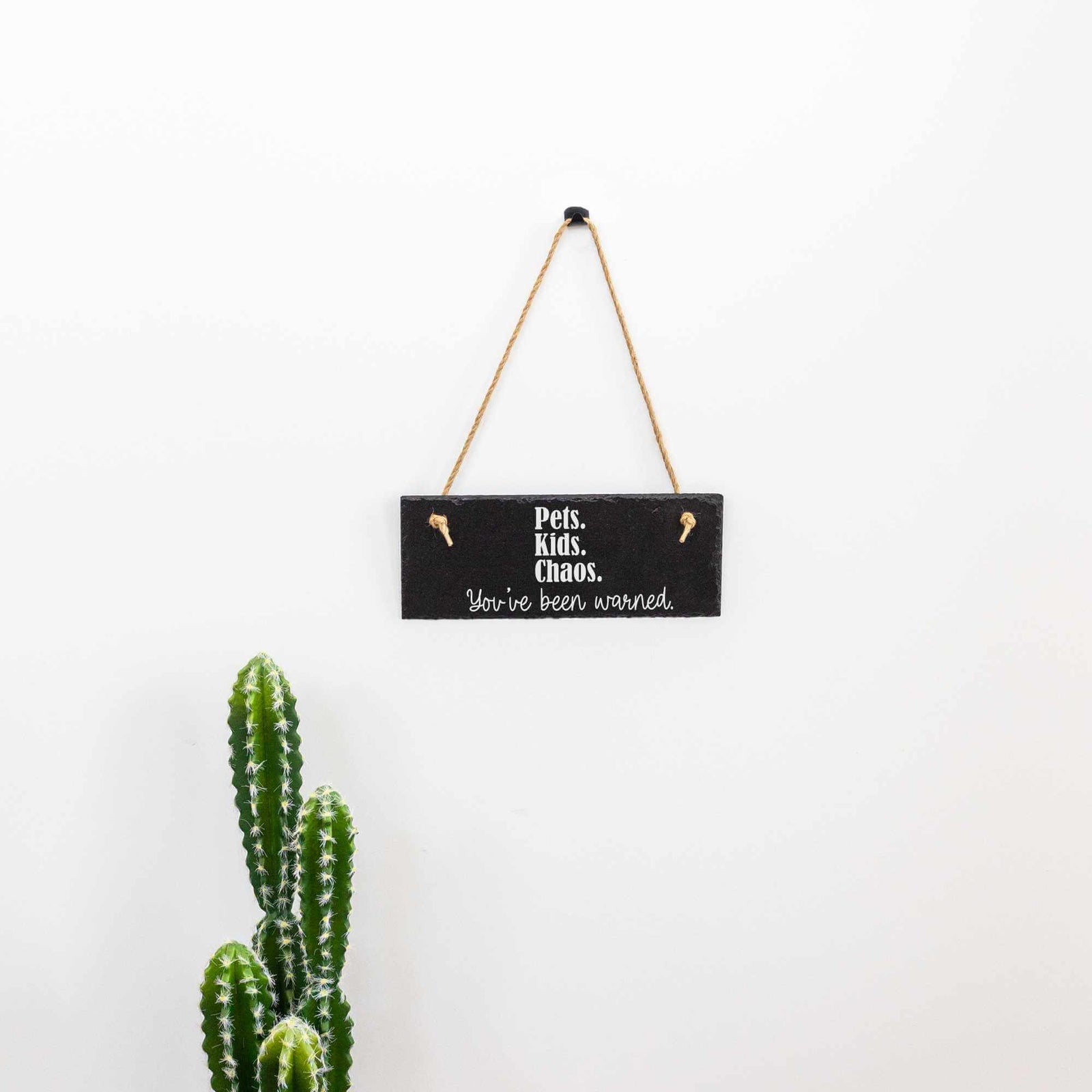 Pets, Kids, Chaos - Rustic Slate Welcome Sign