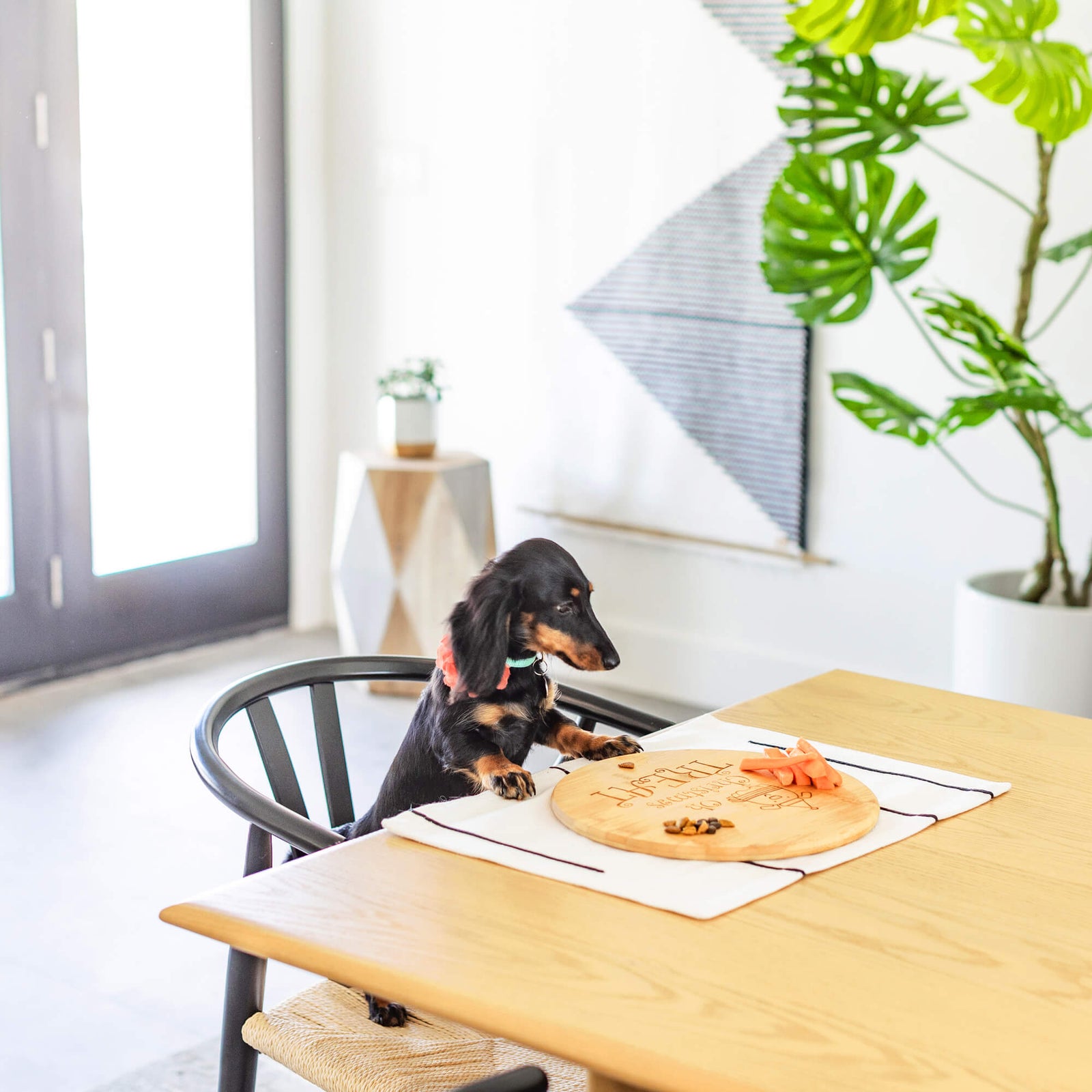 Oh Christmas Treat - Pet's Barkuterie Board - Bamboo