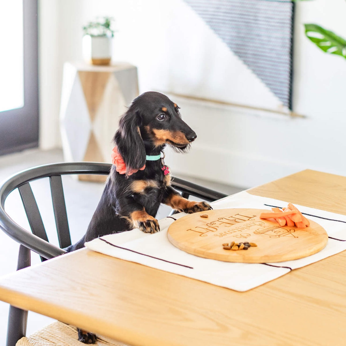Oh Christmas Treat - Pet's Barkuterie Board - Bamboo