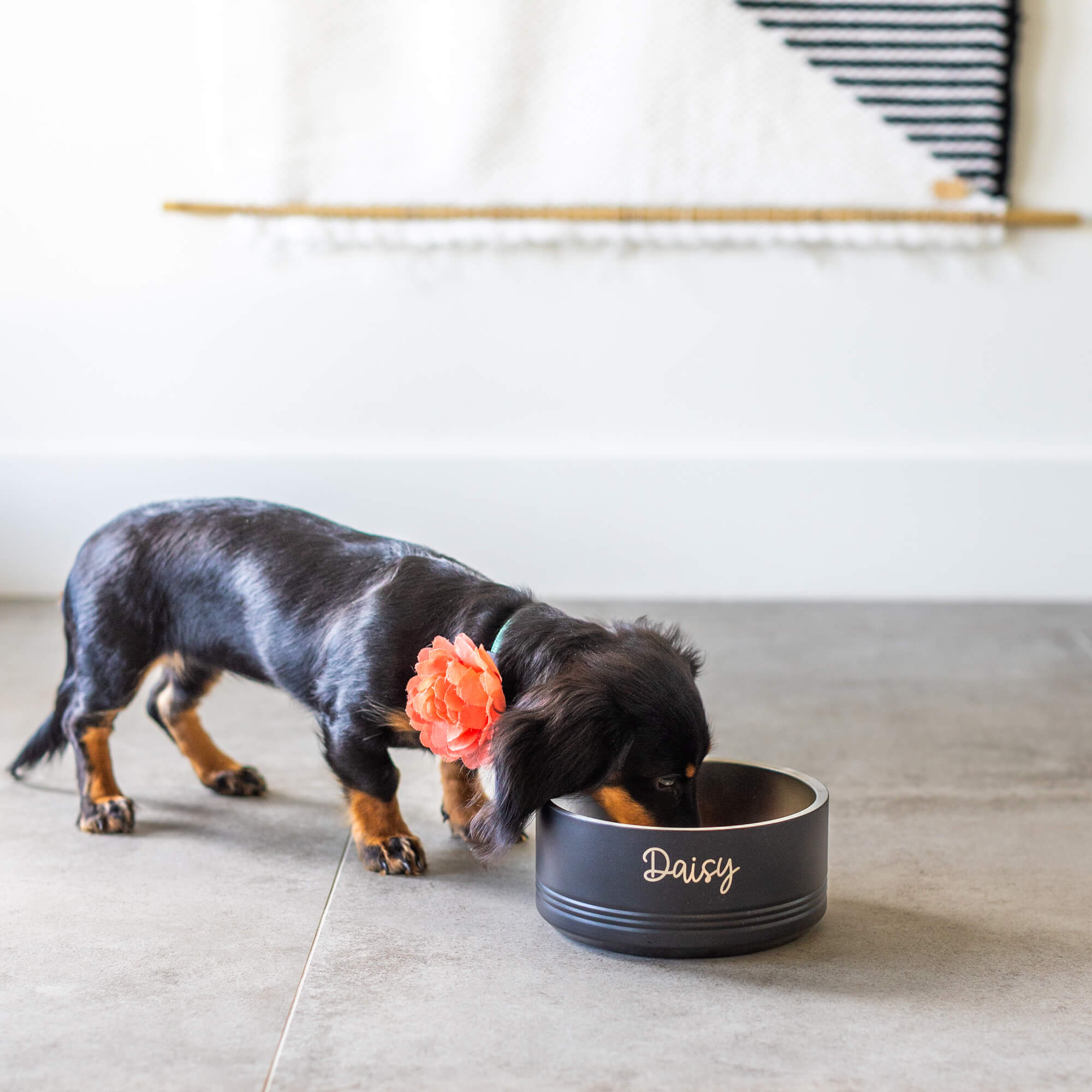Personalized Pet Bowl LARGE Love, Georgie - Main Image