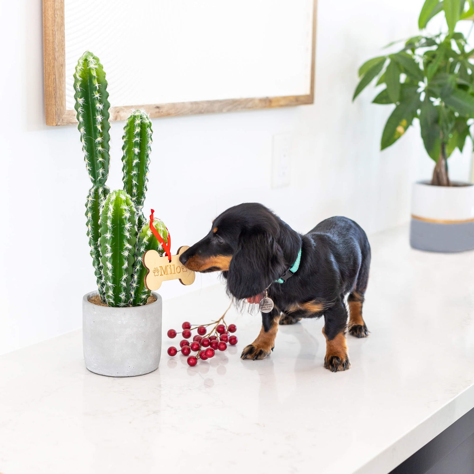 Dog's Christmas Tree Ornament with Name
