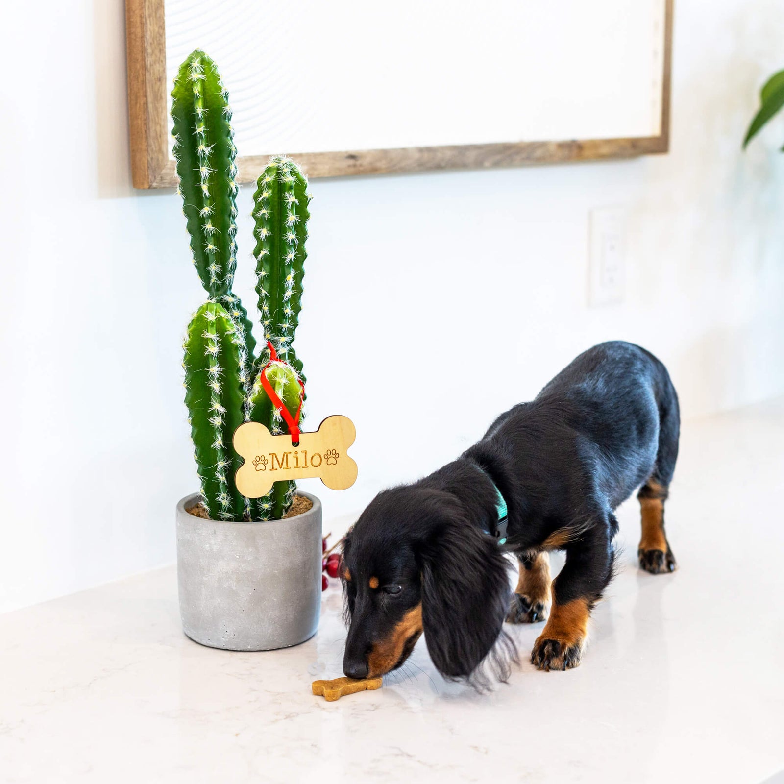 Dog's Christmas Tree Ornament with Name
