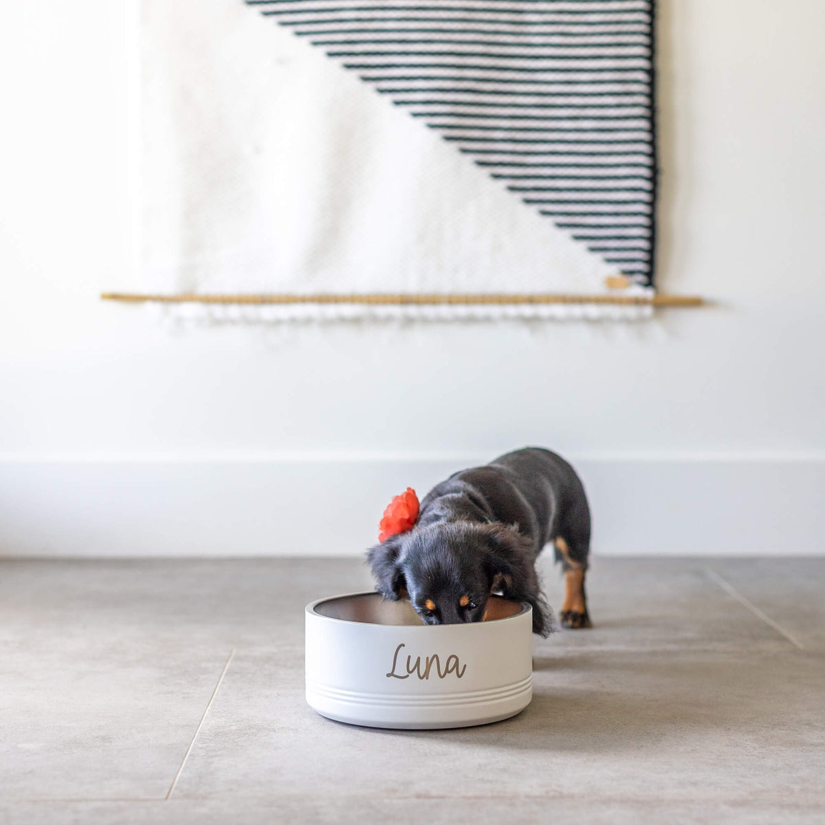 Personalized Pet Bowl - MEDIUM