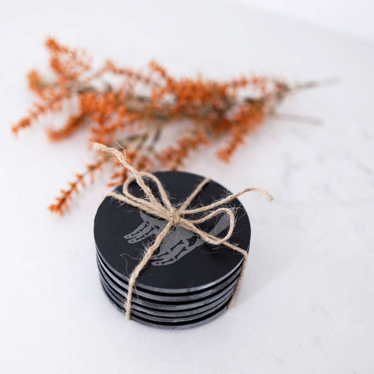 Halloween Cat Skeleton Coasters - Set of 6