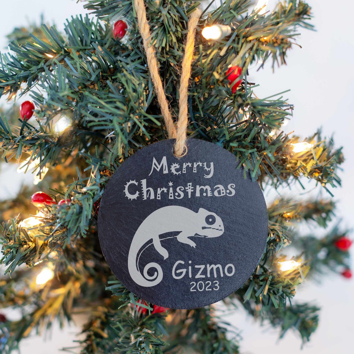 Exotic Pet's Slate Christmas Ornament