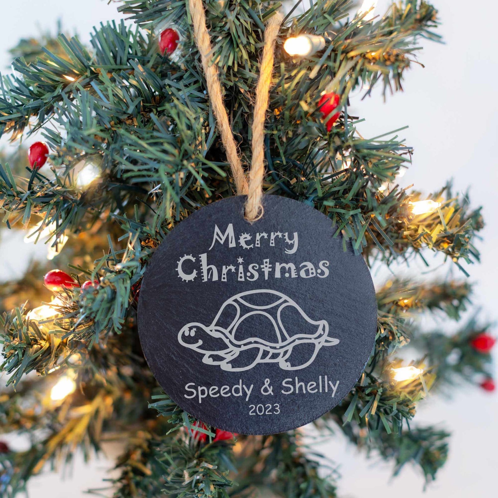 Exotic Pet's Slate Christmas Ornament
