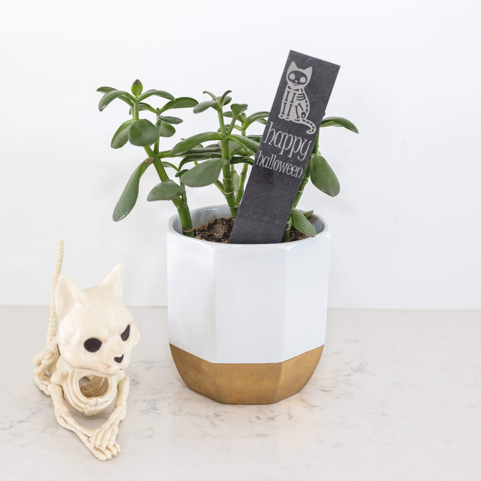 Happy Halloween Cat - Slate Garden Markers