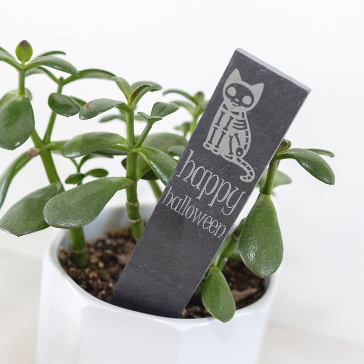 Happy Halloween Cat - Slate Garden Markers