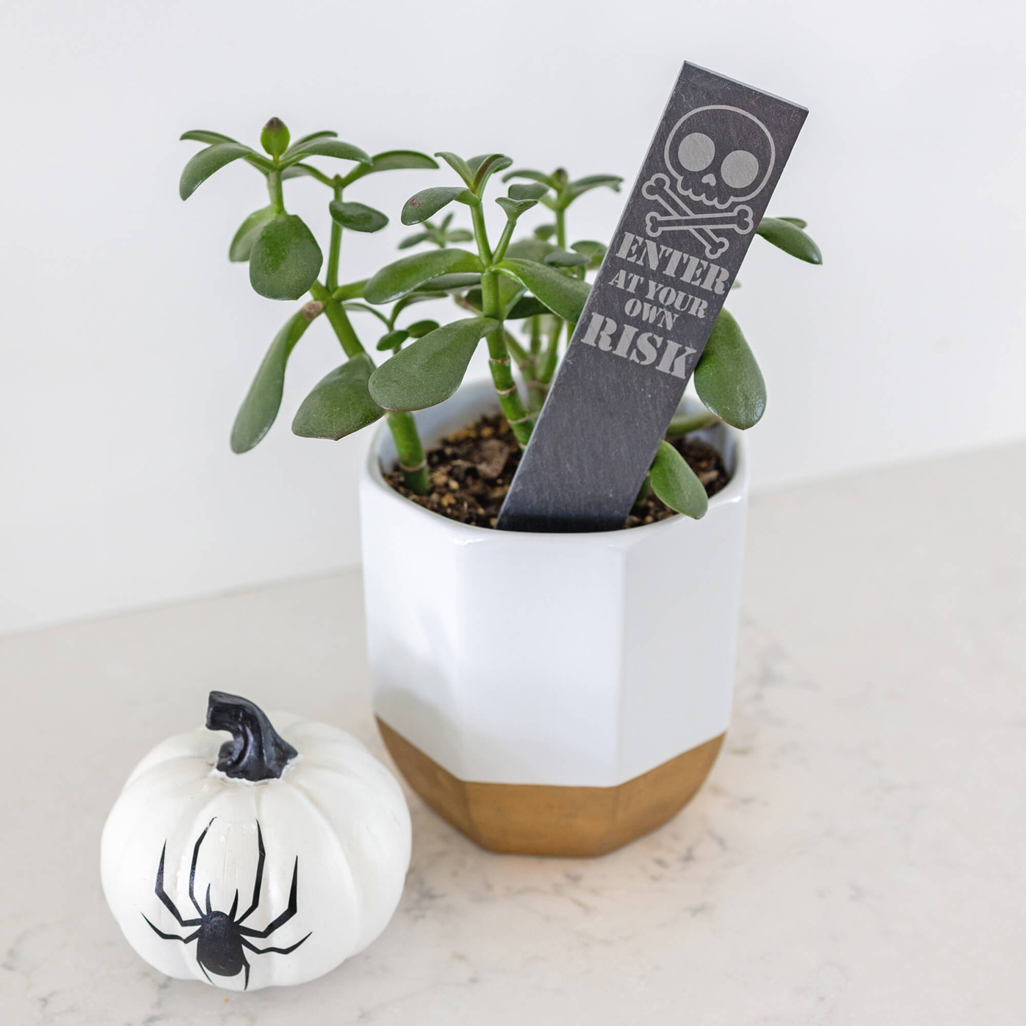 Enter at Your Own Risk - Halloween Garden Markers - Slate