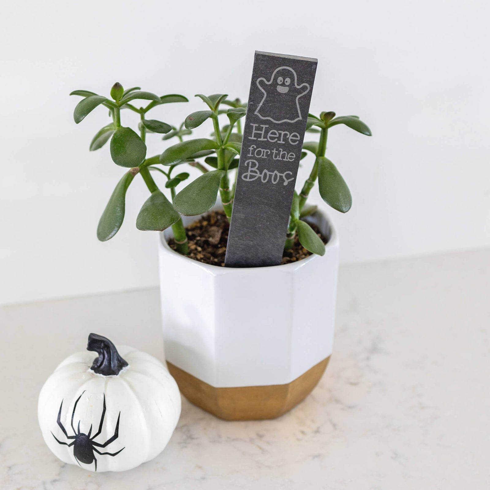 Here for the Boos - Halloween Garden Markers - Slate