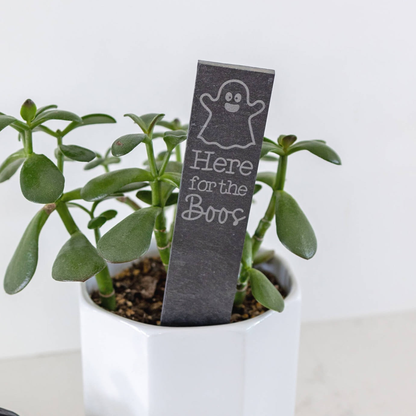 Here for the Boos - Halloween Garden Markers - Slate