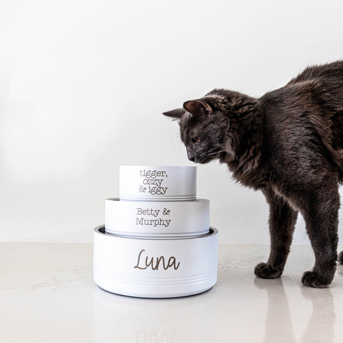 Personalized Pet Bowl - MEDIUM