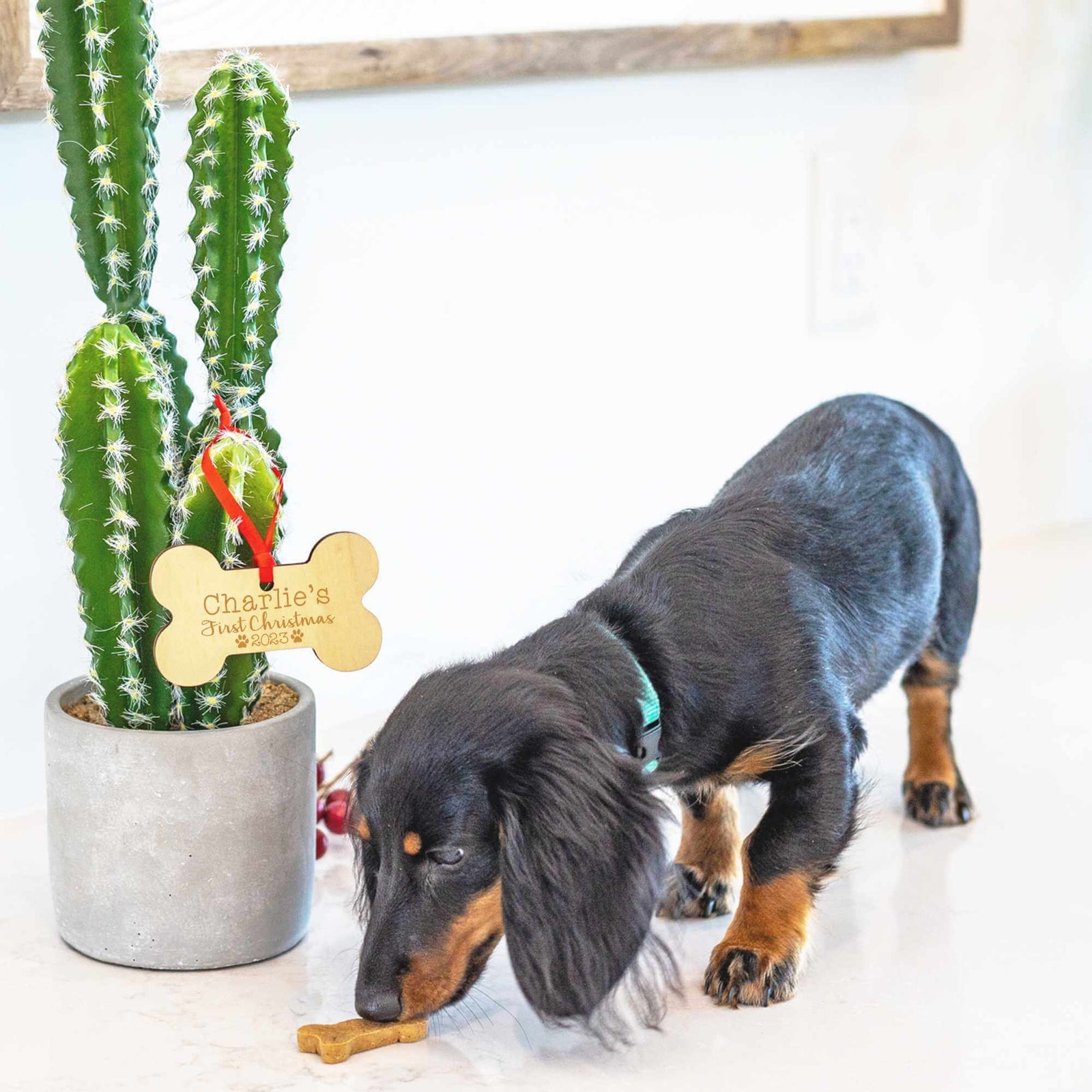 Pet's First Christmas Ornament